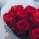 Букет 11 красных роз 50 см