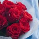 Букет 11 красных роз 50 см