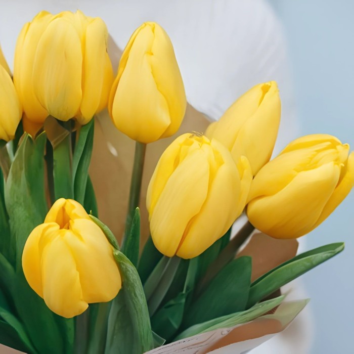 Букет 11 желтых тюльпанов