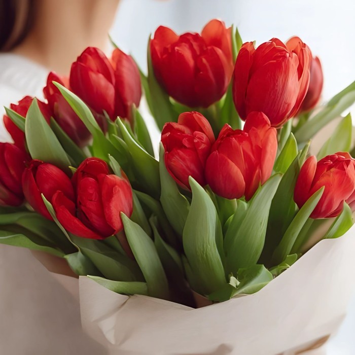 13 красных тюльпанов