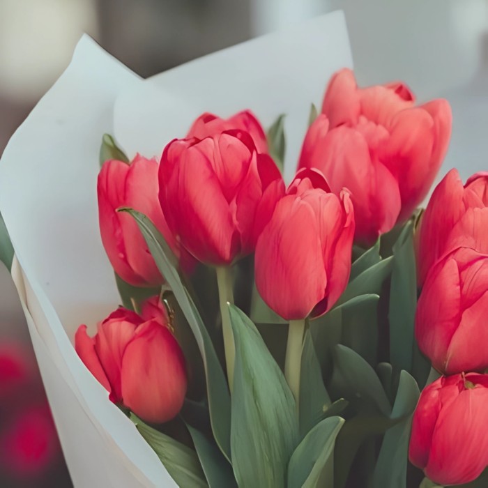 Букет 15 красных тюльпанов