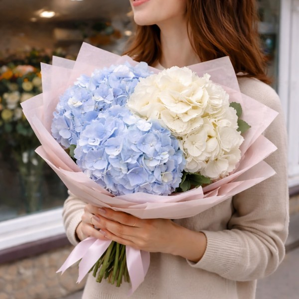 3 бело-голубые гортензии