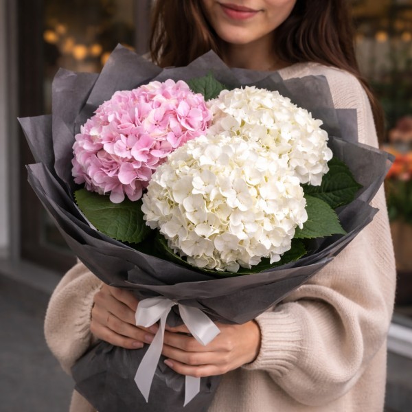 3 бело-розовые гортензии