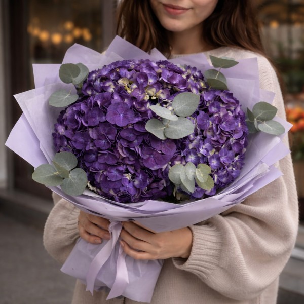 3 фиолетовые гортензии