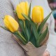 Букет 3 желтых тюльпана
