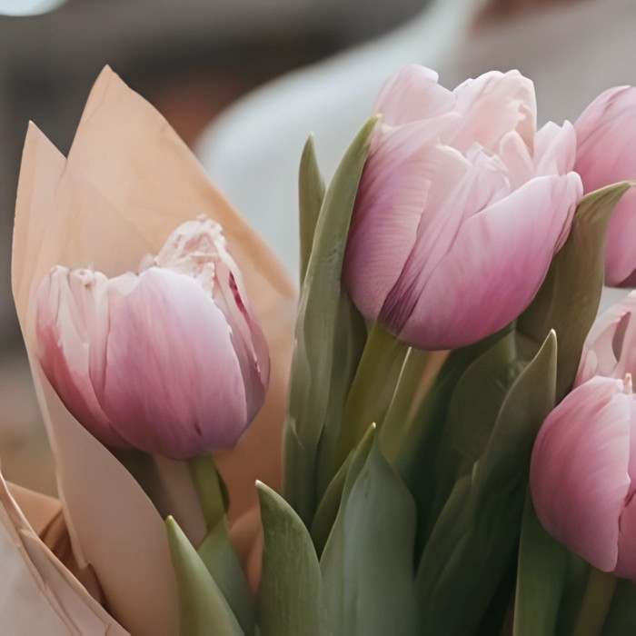 Букет 5 розовых тюльпанов