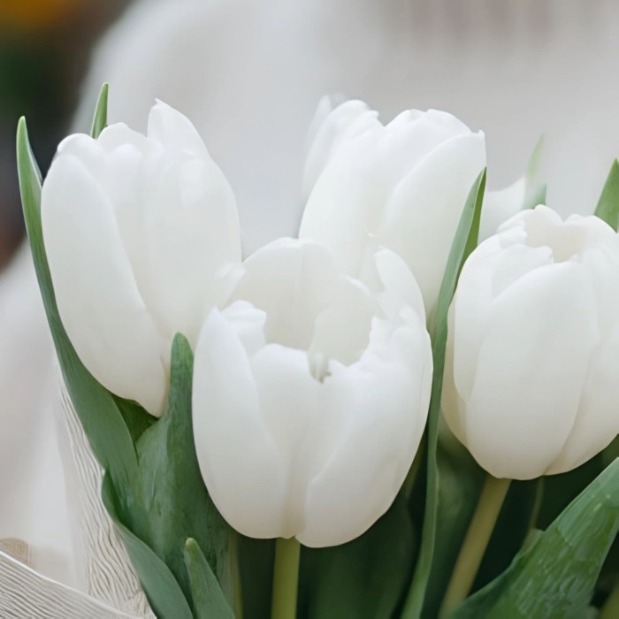 Букет 7 белых тюльпанов