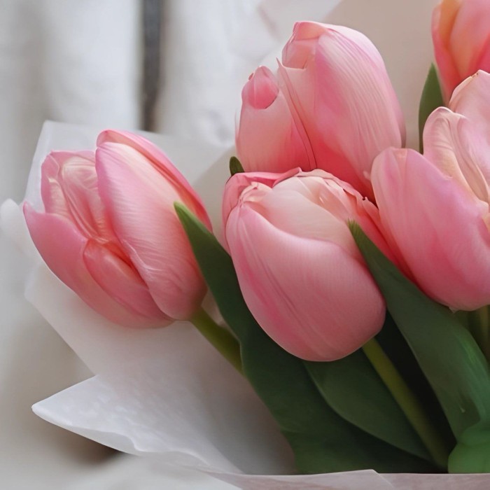 Букет 7 розовых тюльпанов