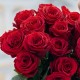 Букет 15 красных роз 50 см