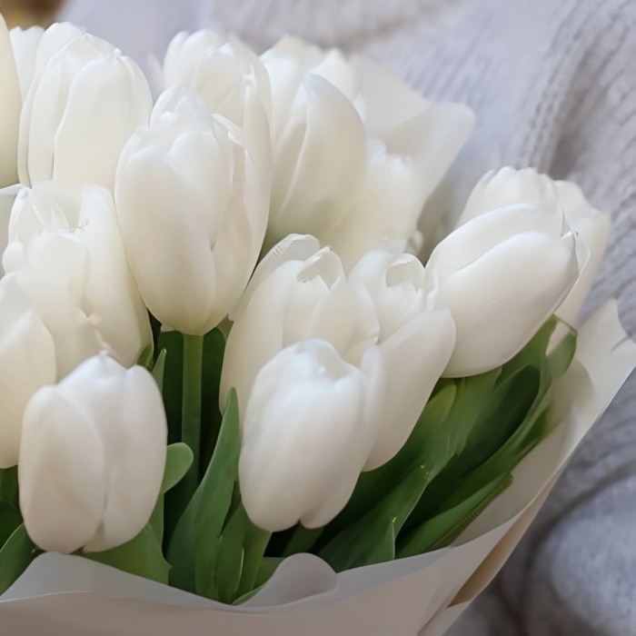 Букет из 19 тюльпанов