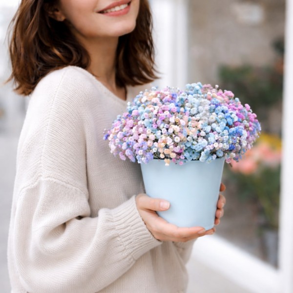 Гипсофилы в стаканчике