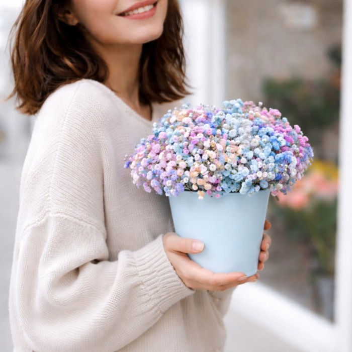 Гипсофилы в стаканчике