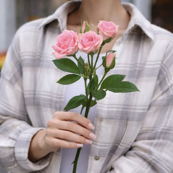 Кустовая роза 1 штука