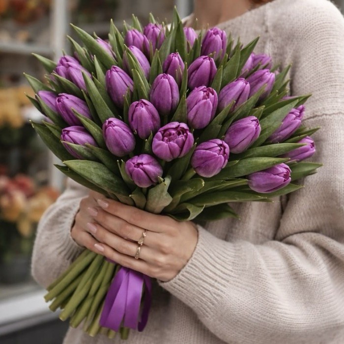 Тюльпан фиолетовый