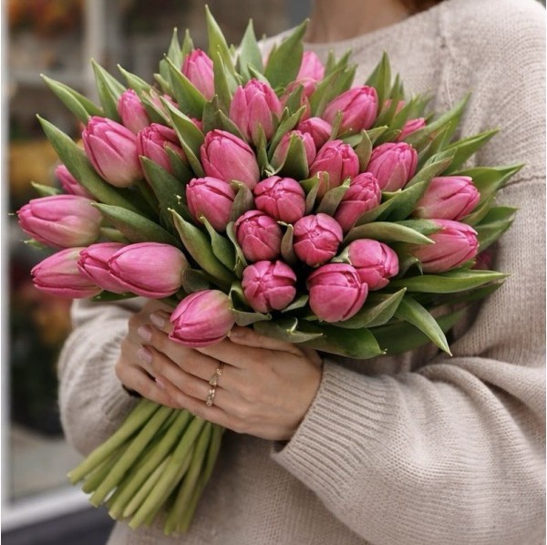 Тюльпан розовый