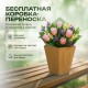 Букет из одной белой лилии