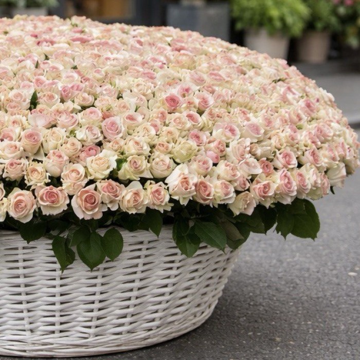 1001 роза Кения Топ Гир