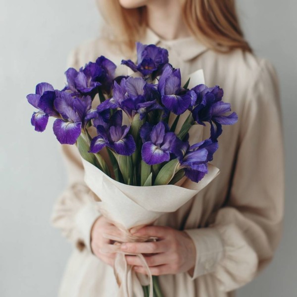 13 фиолетовых ирисов
