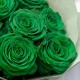 Букет 7 зеленых роз